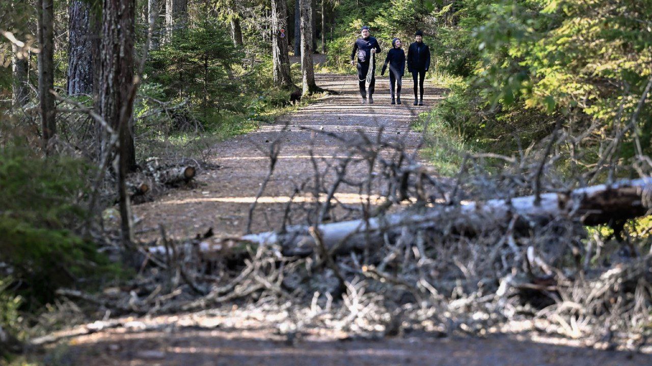 گزارش: ضعف در نگهداری از پارک‌های ملی و ذخایر طبیعی