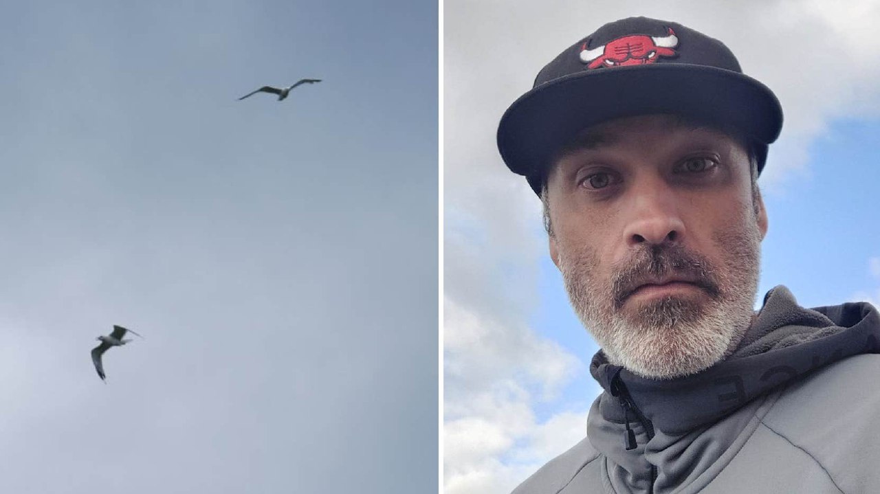 ⚡️ مبارزه میکائیل با مرغان دریایی؛ درخواست مجوز شکار برای حفاظت داده است.