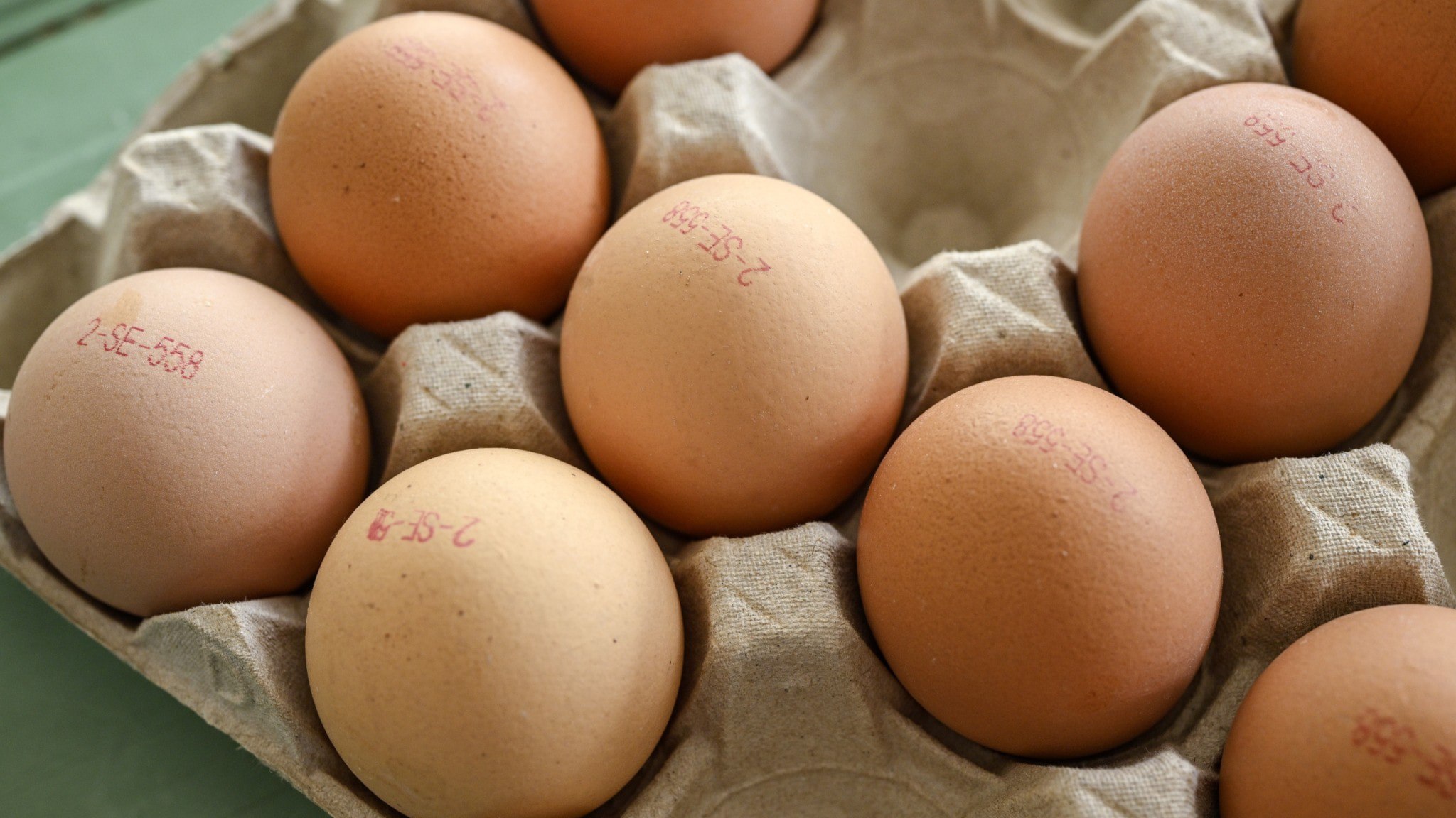 ⚡️ خبر فوری
⚡️ فروشگاه‌ها تخم‌مرغ را فراخوانی می‌کنند – خطر ابتلا به سالمونلا