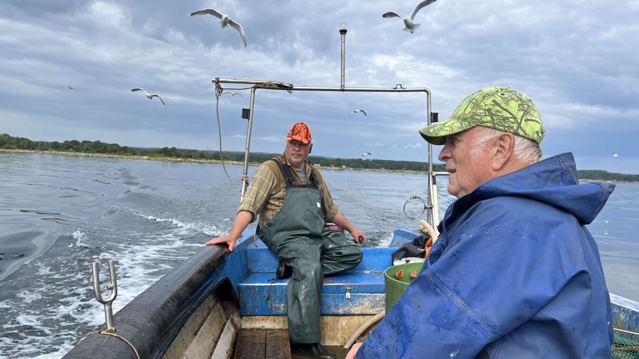 ⚡️ ماهیگیری مارماهی در بلِکینگه پس از نشت نفت دوباره آغاز شد