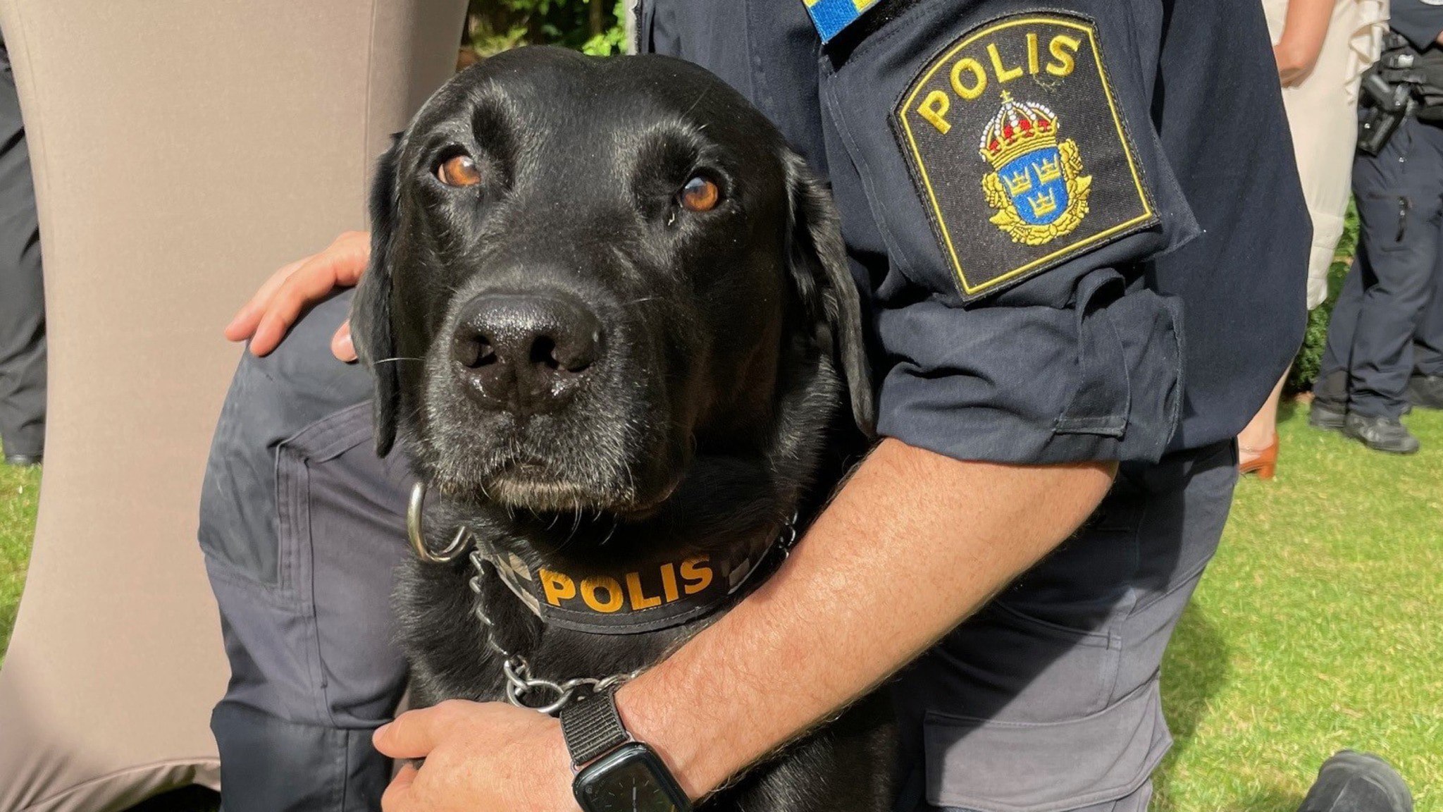 ⚡️ پلیس سوئد، امنیت استادیوم‌های المپیک در پاریس را با سگ‌های بمب‌یاب تأمین کرده است