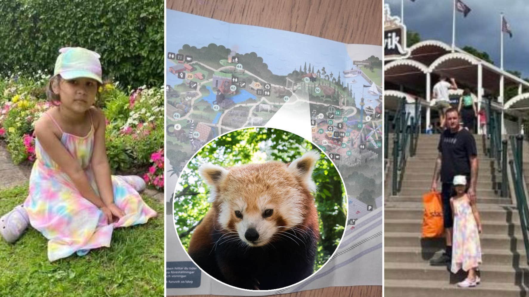 ⚡️ موفق به دیدن پاندا نشدم: “تبلیغات دروغین”