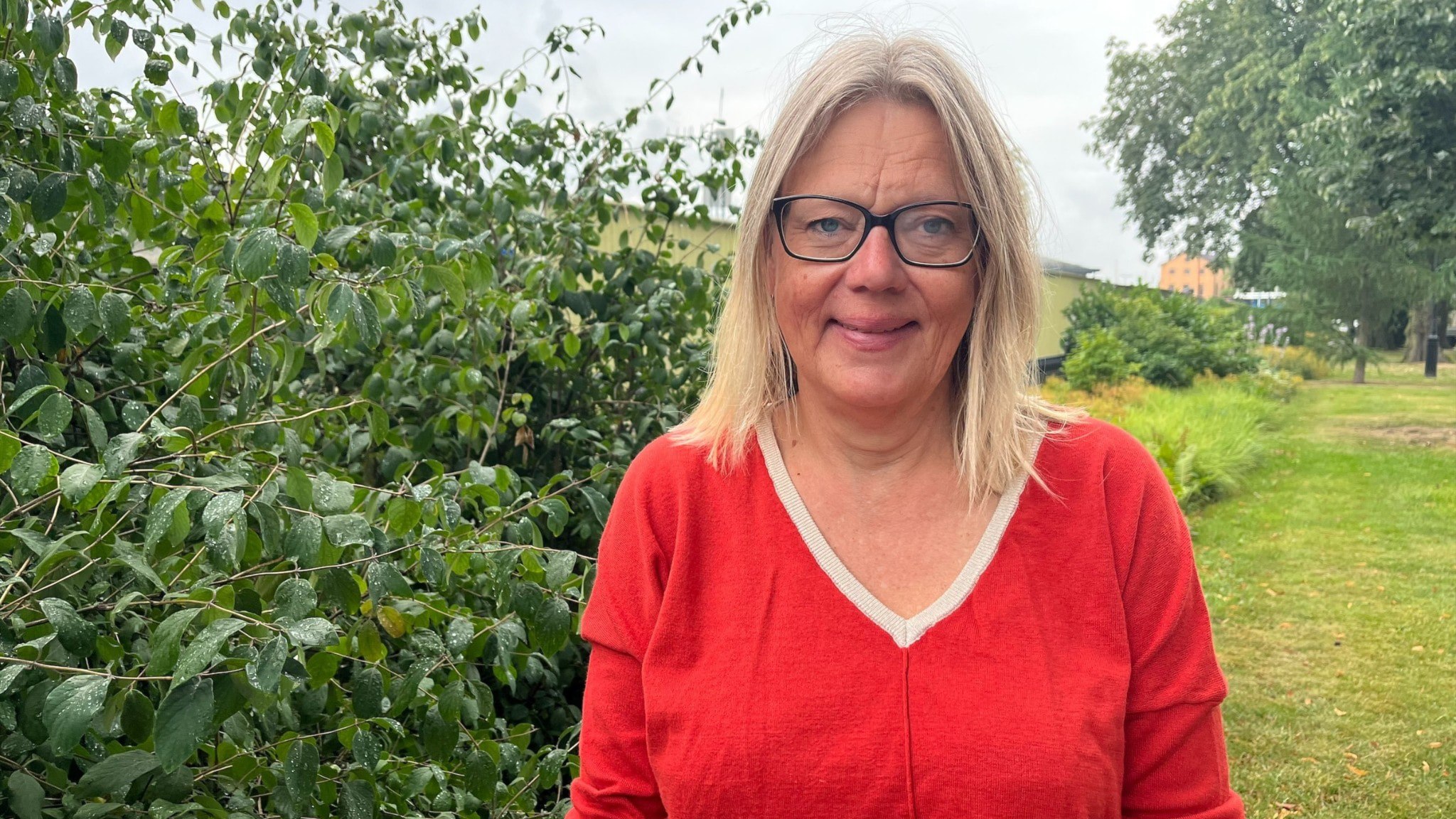 ⚡️ باغچه‌های اجاره‌ای (کلونی‌ها) به طور فزاینده‌ای در میان خانواده‌های دارای فرزند محبوب شده‌اند: «نوعی روان درمانی»