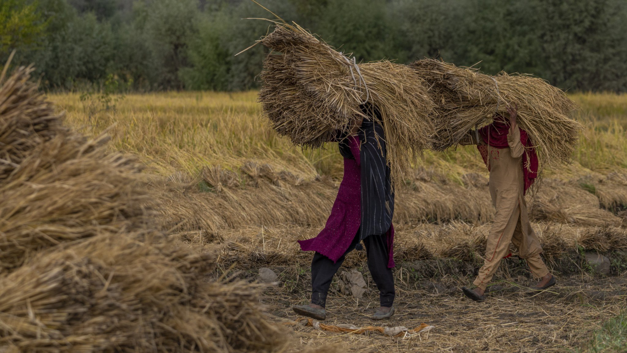 ⚡️ سازمان ملل: زنان بیشتر از عدم دسترسی به اینترنت رنج می‌برند