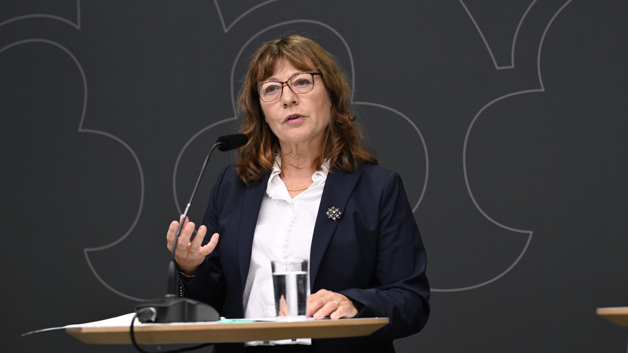 ⚡️ حقوق‌دان برجسته تغییر مسیر می‌دهد؛ هدایت نهاد مورد انتقاد را بر عهده می‌گیرد