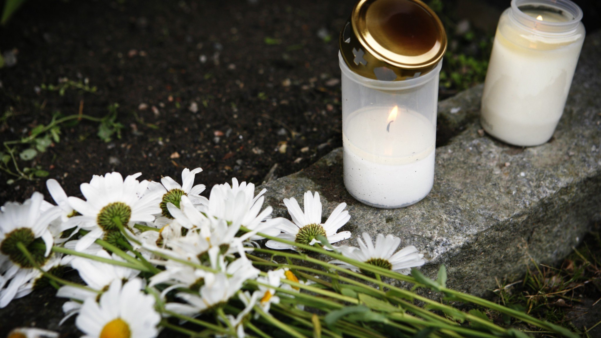 ⚡️ دولت و پارلمان می‌خواهند خودکشی را در یک مرکز ملی بررسی کنند