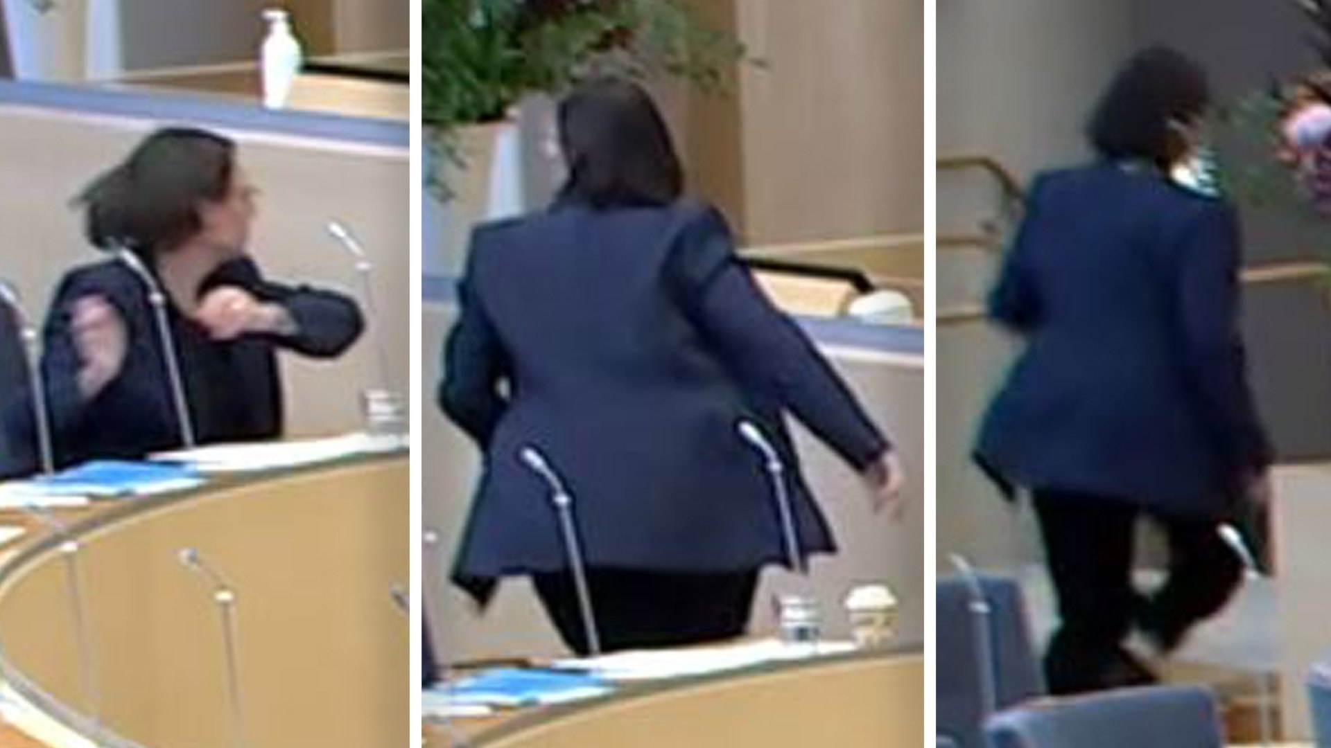 ⚡️ بر اساس اطلاعات کسب‌شده توسط Ekot، جلسه‌ای درباره امنیت در پارلمان سوئد پس از حمله با گوجه‌فرنگی برگزار خواهد شد