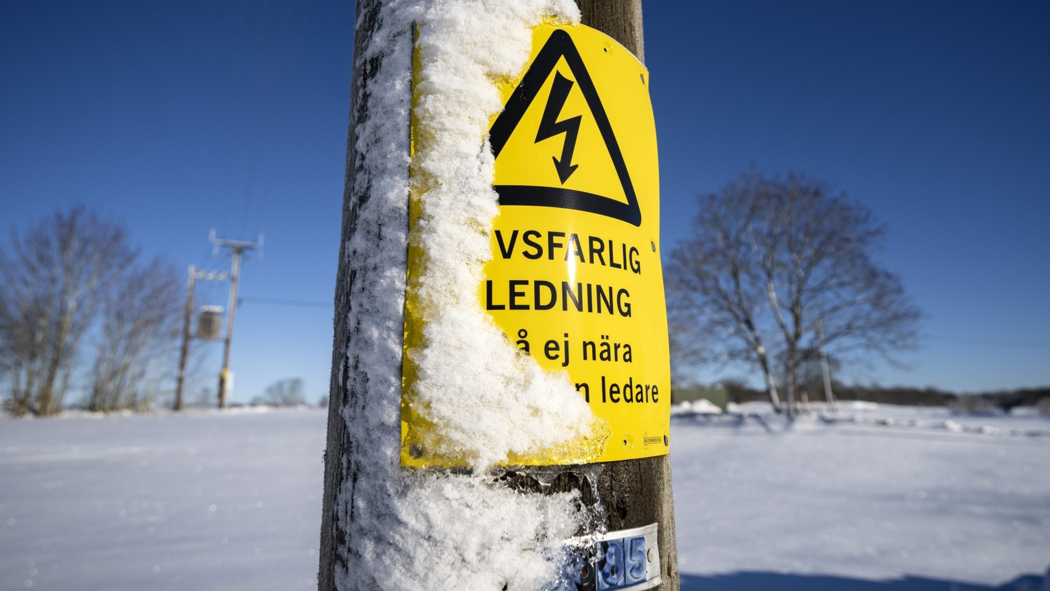 ⚡️ در حالیکه شرکت Northvolt فعالیت‌های خود را کند کرده است، دسترسی به برق افزایش می‌یابد