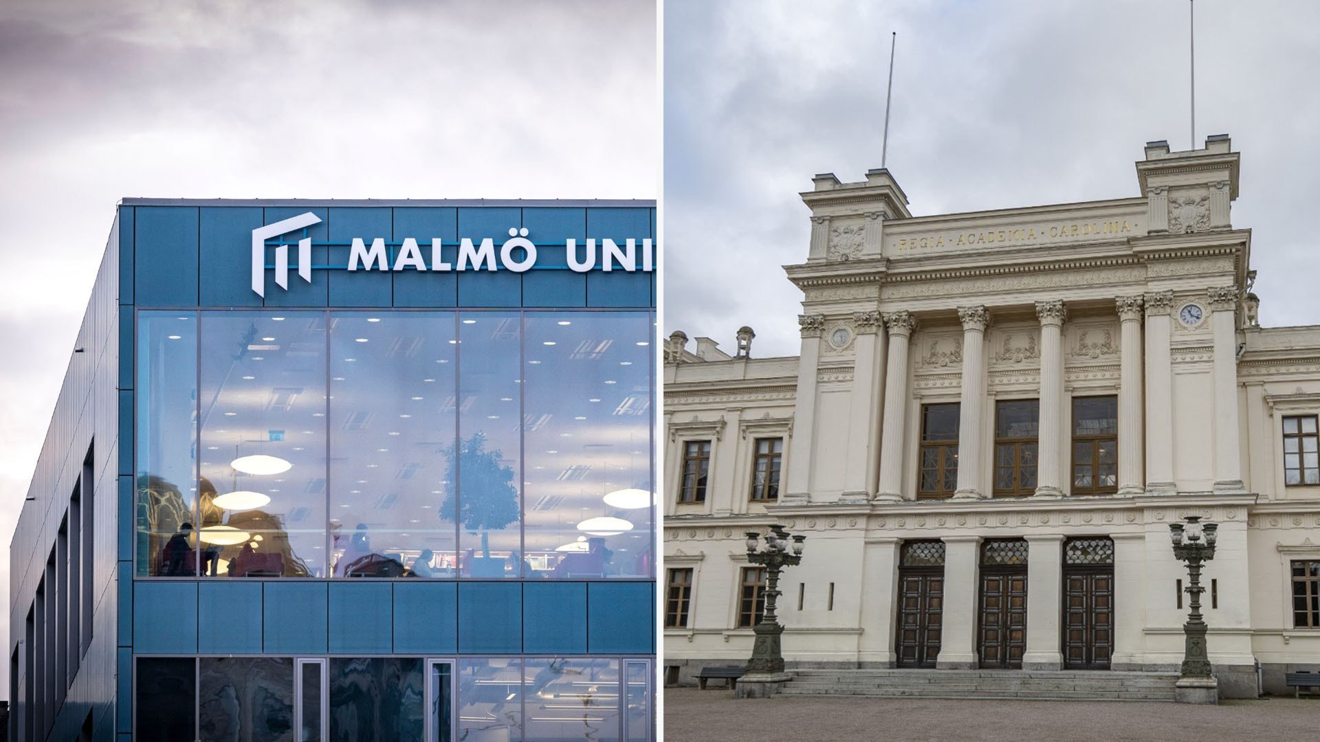 ⚡️ دولت میخواهد دانشگاهها و مؤسسات آموزش عالی به بنیاد تبدیل شوند