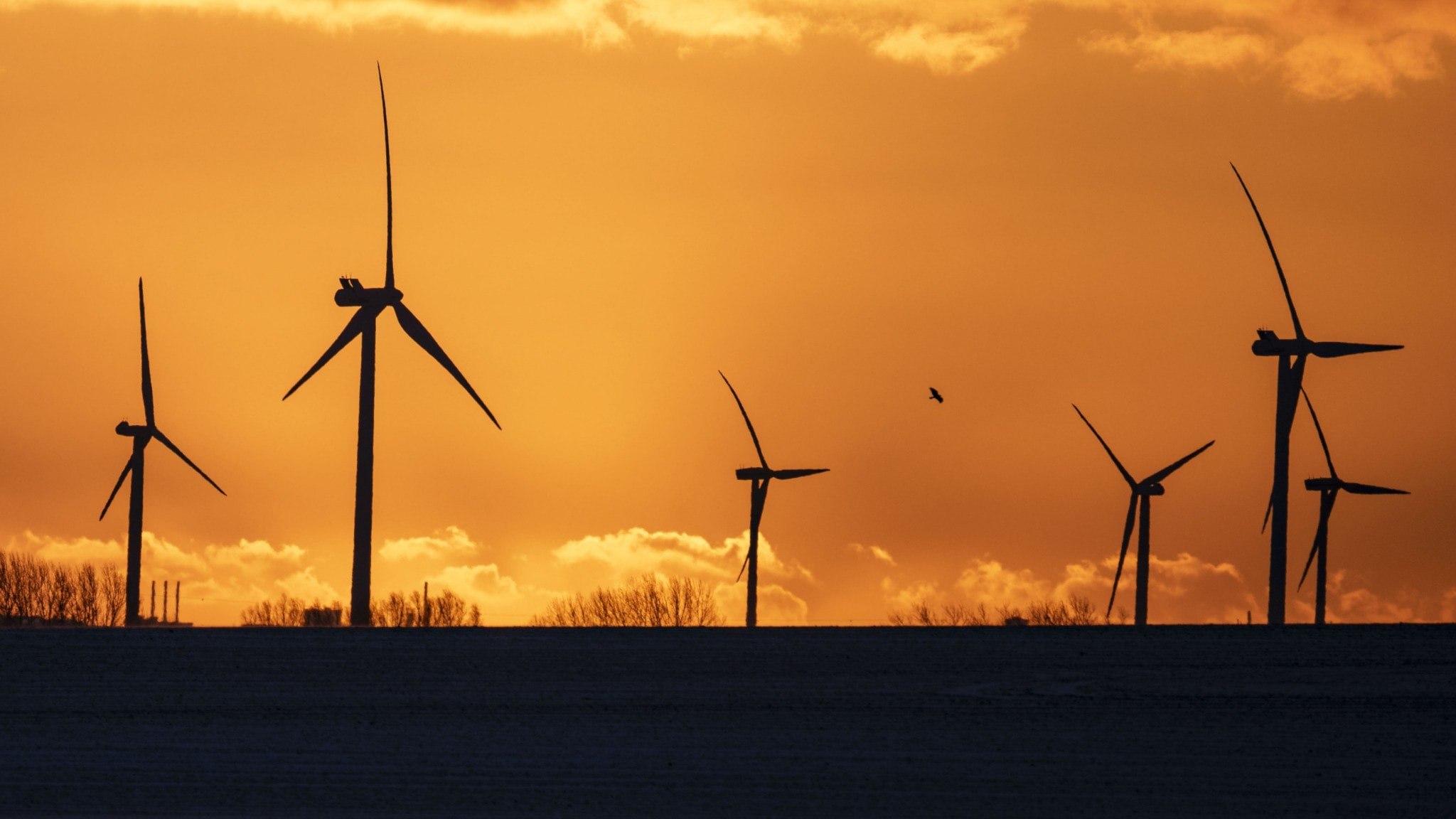 ⚡️ رکورد جدید: گرم‌ترین ژانویه ثبت‌شده تاکنون