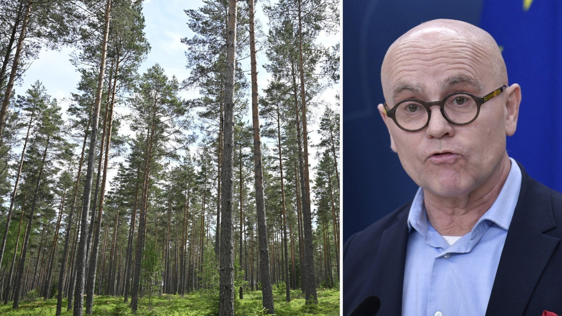 ⚡️ استاد دانشگاه: برای تحقق اهداف اقلیمی، اقدامات جدی‌تری در مورد جنگل‌ها لازم است