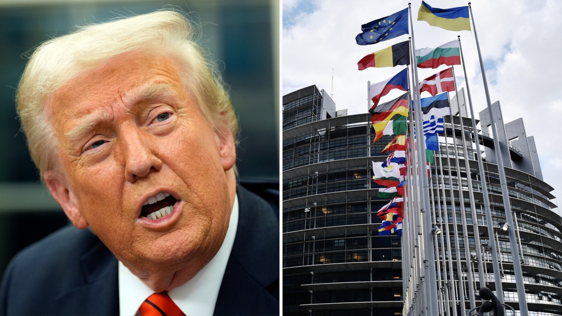 ⚡️ سخنان تند درباره تعرفهها: «اتحادیه اروپا باید مواظب باشد که تبدیل به سگ دستآموز ترامپ نشود.»