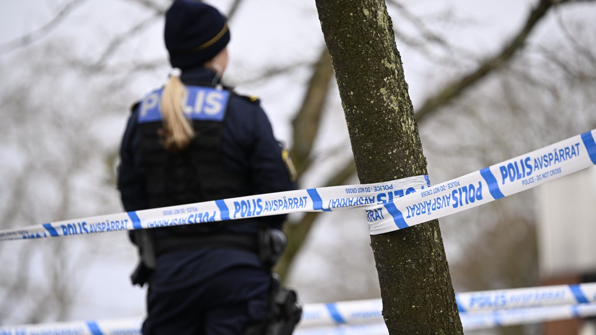 ⚡️ مجوز تحقیقات تبارشناسی بر پایه DNA برای برخی جرایم صادر شد