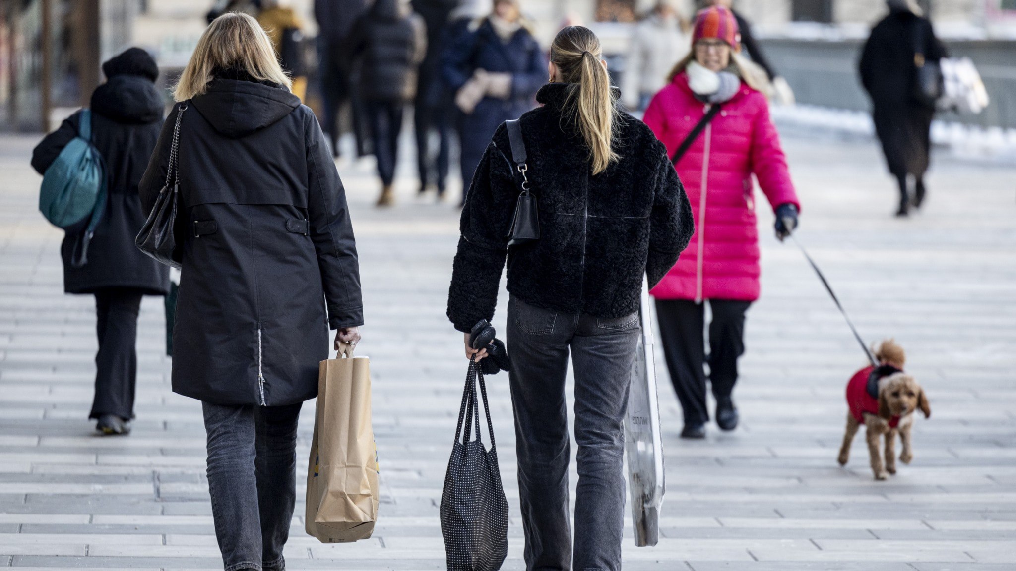 ⚡️ رشد اقتصاد سوئد: «خبرهای خوب»