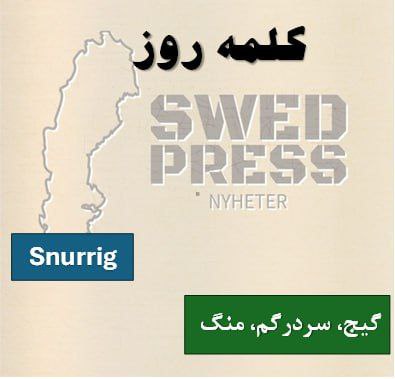 ⚡️کلمه‌ی روزsnurrigsnurrigt, snurrigaیعنی “گیج”، “سرگیجه‌دار” یا “درهم‌برهم”. برای توصیف حالت‌هایی که یه نفر حس گیجی، سرگیجه یا آشفتگی داره، چه از نظر فیزیکی و چه ذهنی، استفاده می‌شه. تو فارسی می‌تونی بگی “گیج شدم” یا “سرگیجه دارم”.