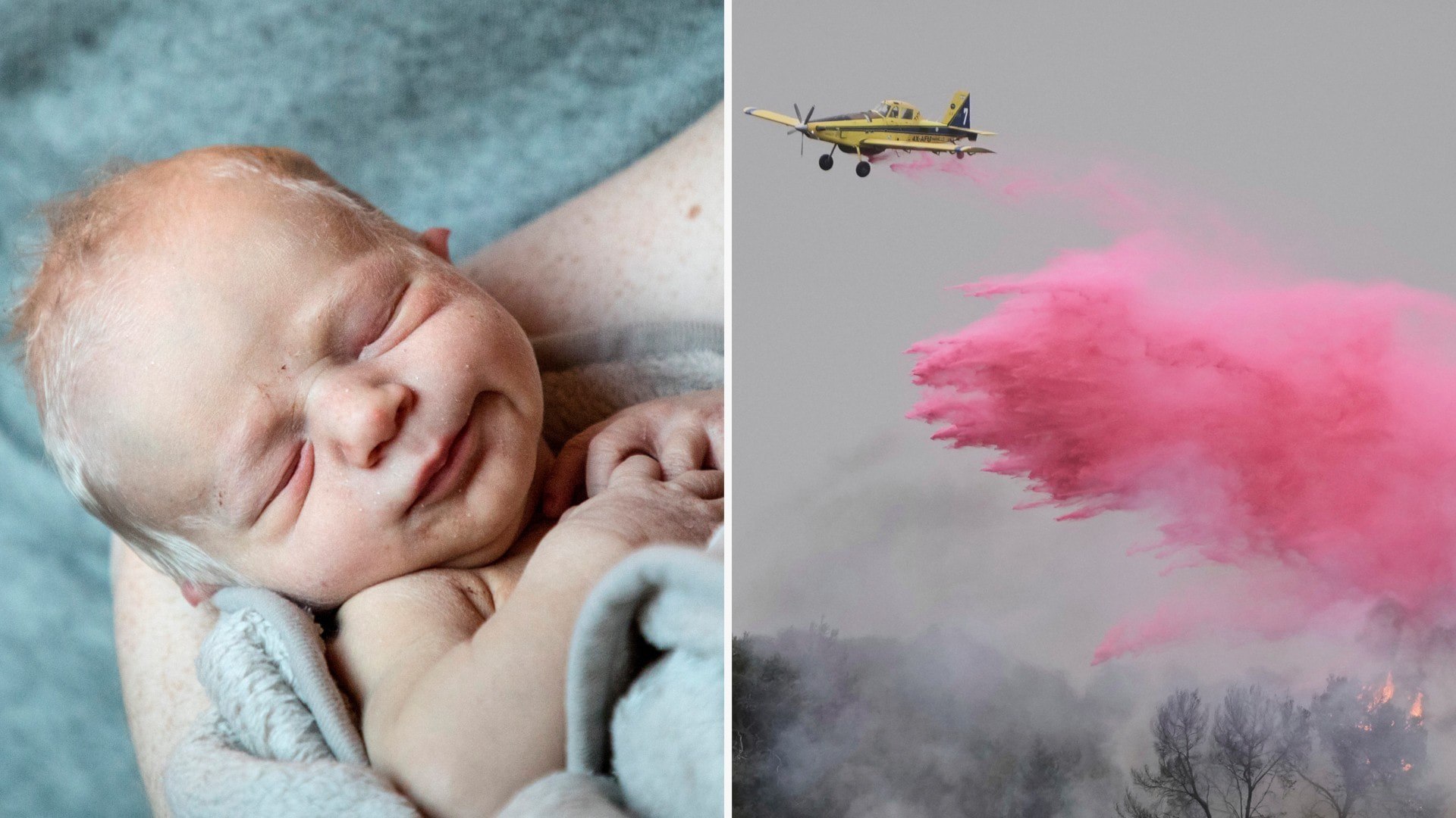 ⚡️ آتش‌سوزی جنگل‌ها با تولد نوزادان کم وزن مرتبط است