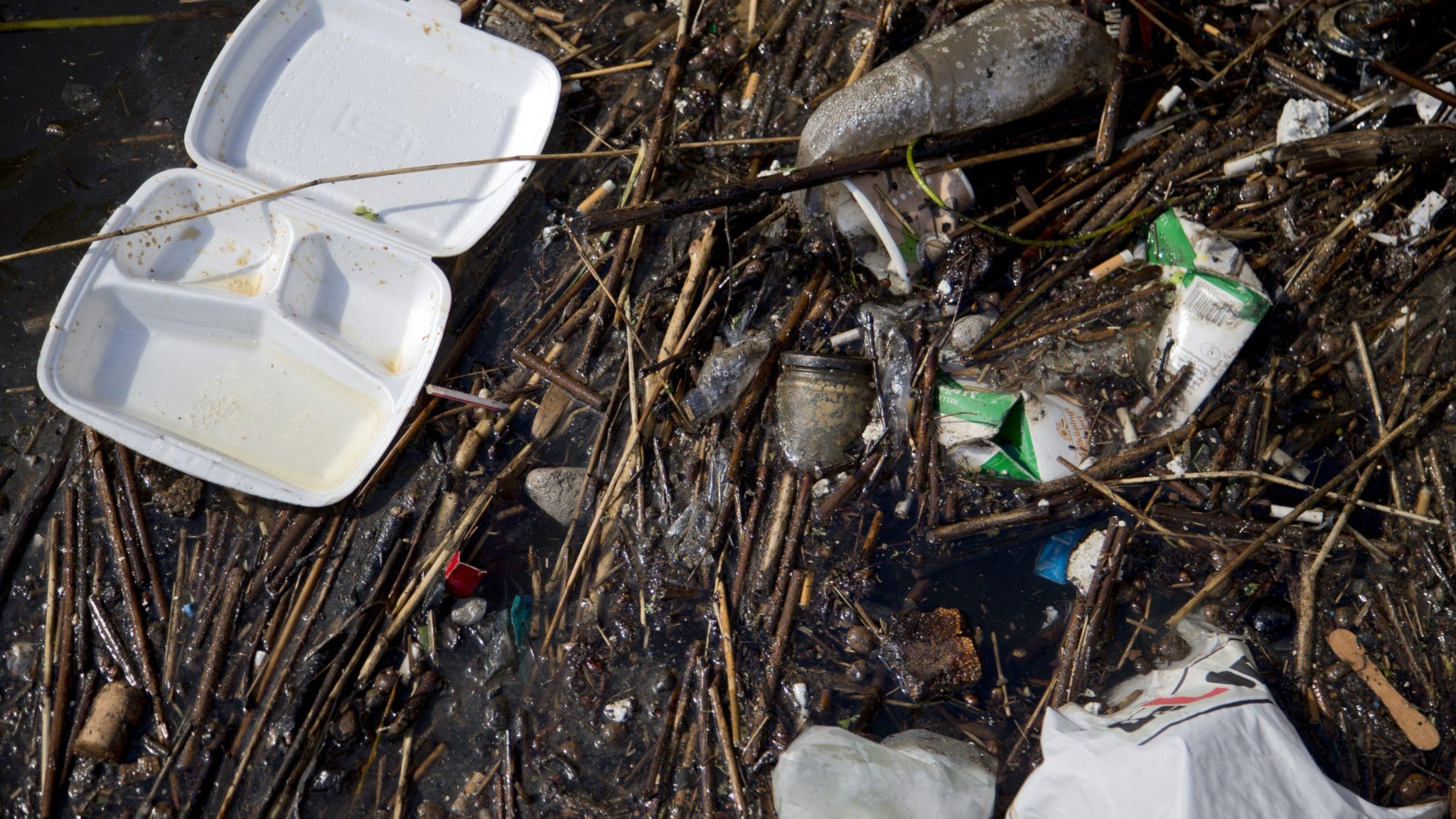 ⚡️ ۱۳۹۰۰۰ سوئدی زباله‌ها را جمع‌آوری کردند