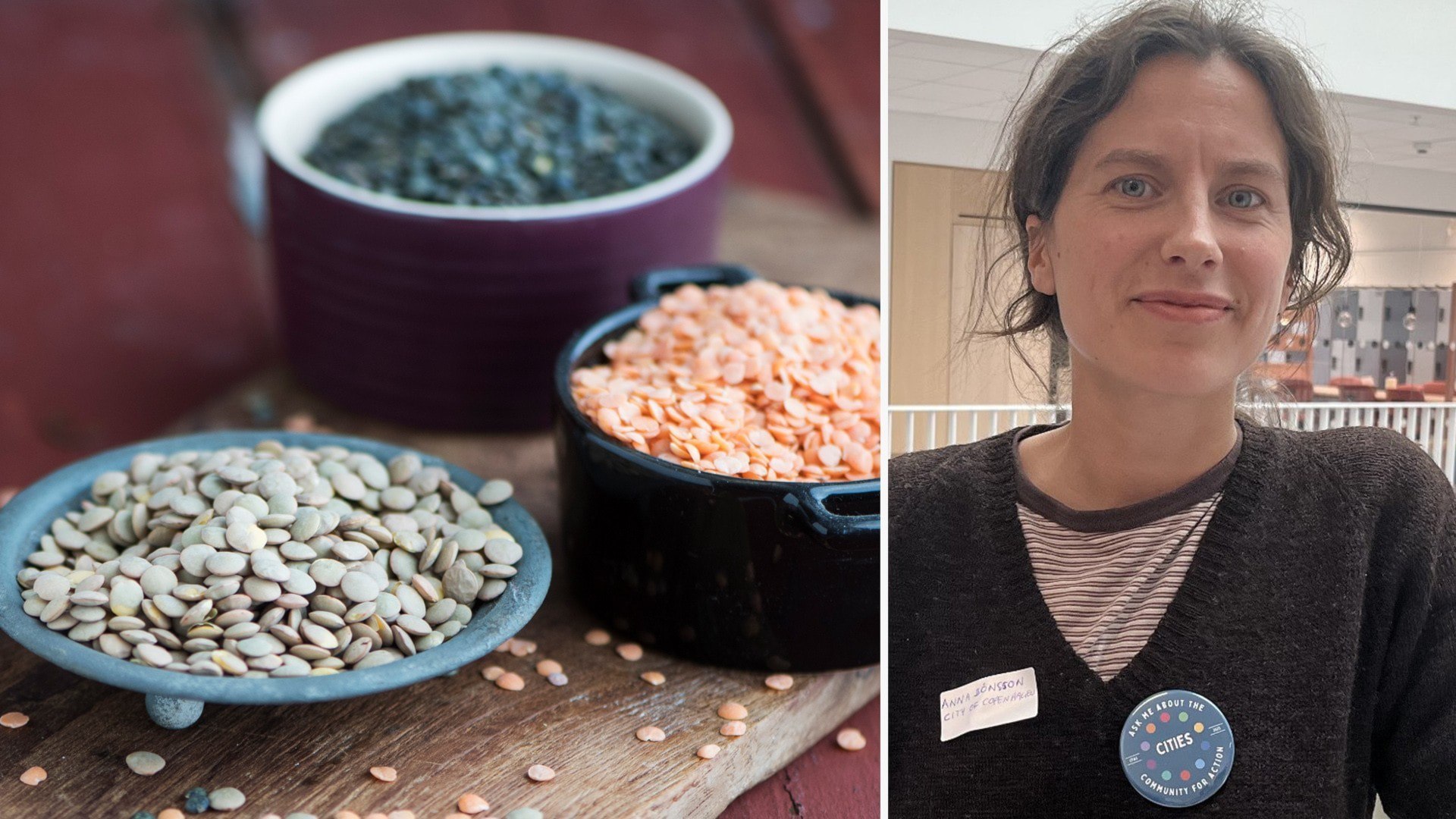 ⚡️ گزارش: غذای سازگار با اقلیم میتواند ۱۵ میلیون زندگی را نجات دهد