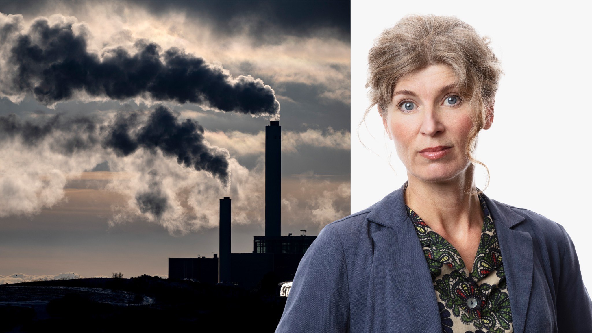 ⚡️ هامبرائوس: تمرکز بر آژانس حفاظت از محیط زیست سوئد به نفع دولت است