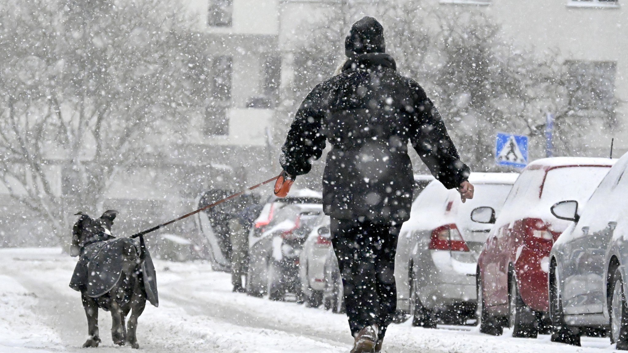 ⚡️ بعد از یک پاییز ملایم برف از راه می‌رسد