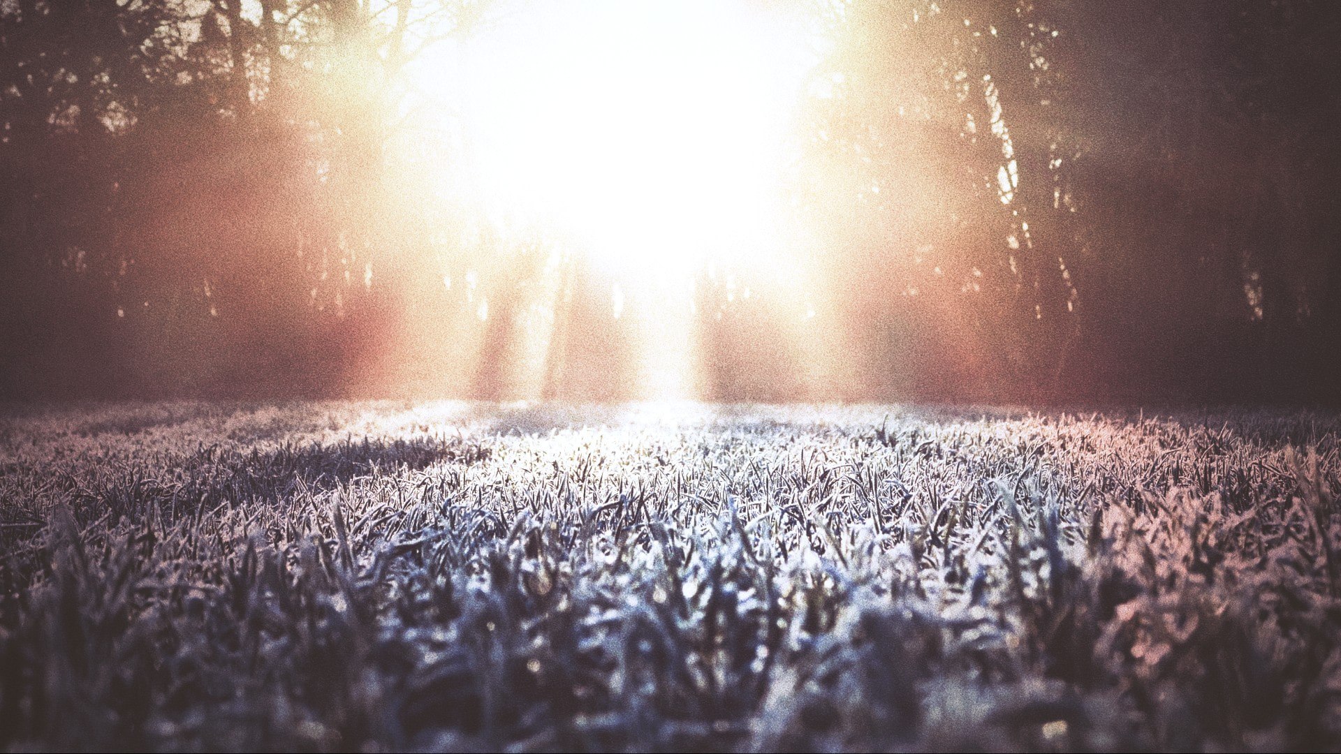 ⚡️ پژوهشگران میخواهند پرمافراست را گرم و ذوب کنند: «بزرگترین آزمایش تا امروز»