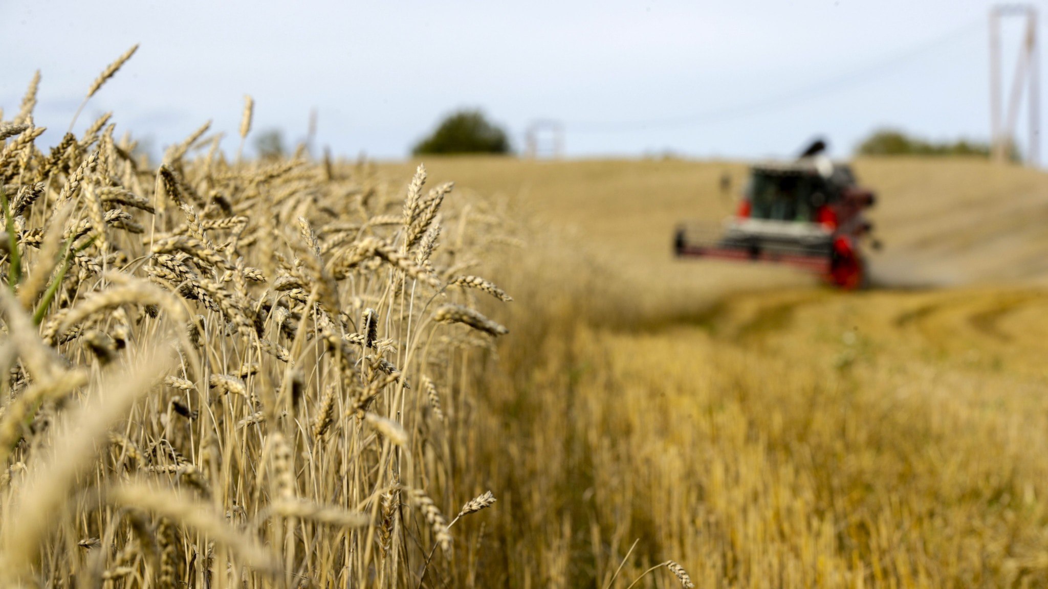 ⚡️ روابط چین و سوئد رو به بهبود است؛ توافق بر سر صادرات