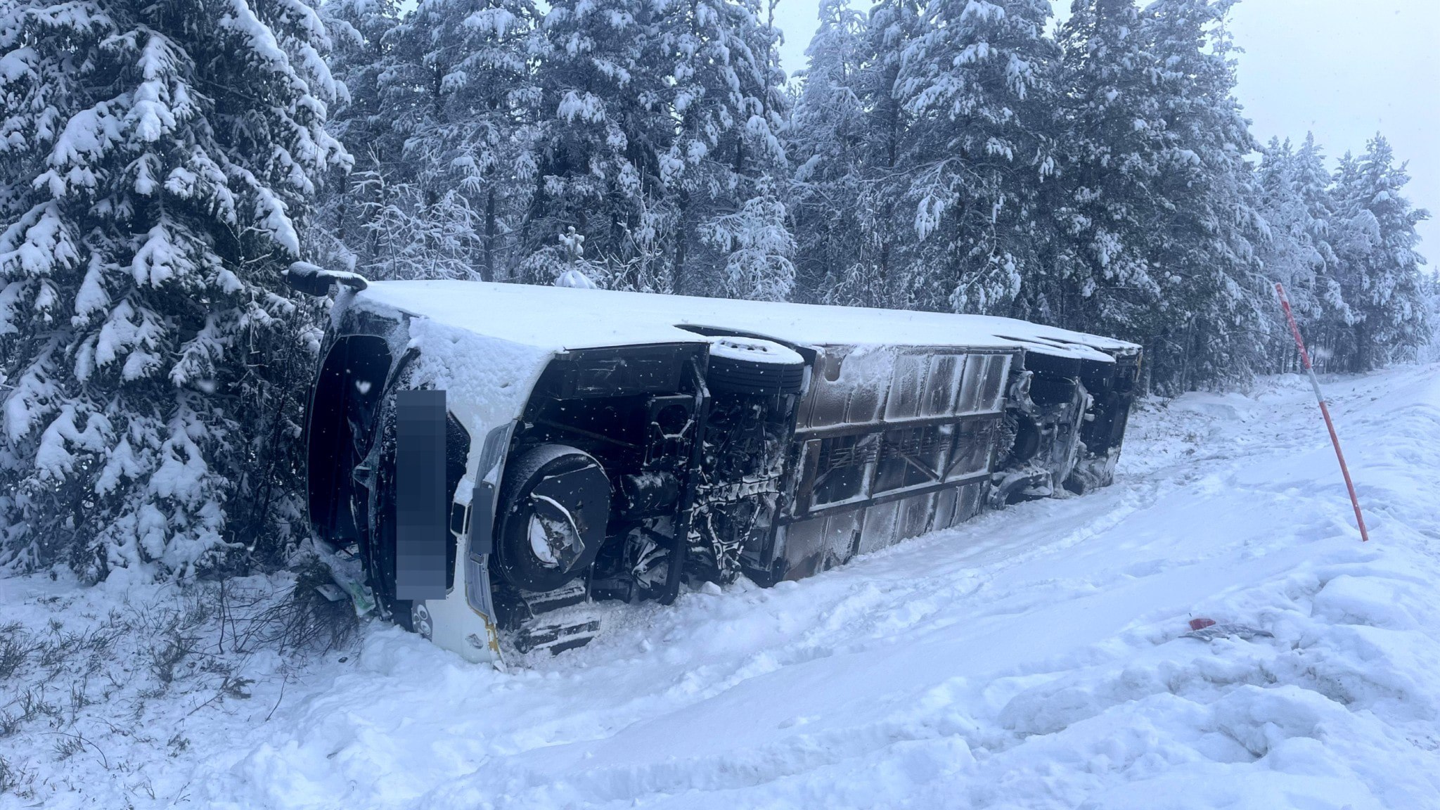 ⚡️ هشدار پس از تصادف اتوبوس در بزرگراه E45: کمربند ایمنی را ببندید