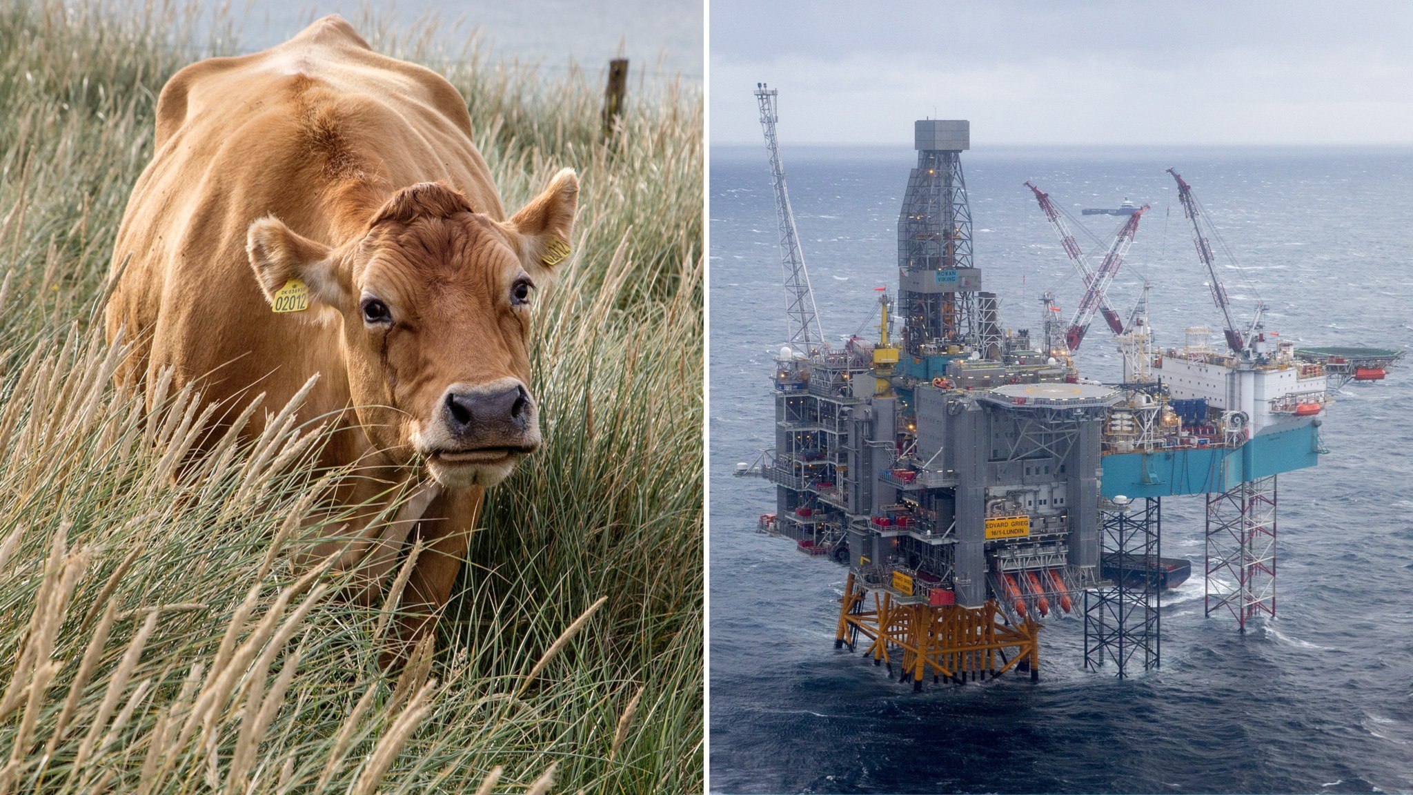 ⚡️ انتشار گاز متان همچنان در حال افزایش است، اما پژوهشگران امیدوارند روند به‌زودی معکوس شود
