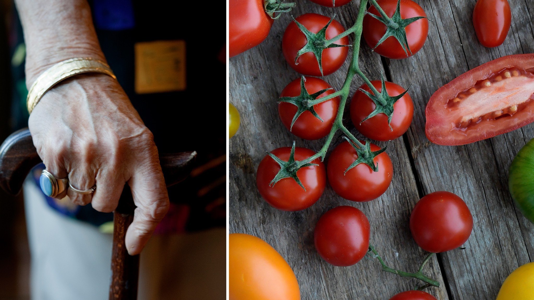 ⚡️ گزارش جدید: چگونه رژیم غذایی میتواند بر خطر ابتلا به زوال عقل تأثیر بگذارد