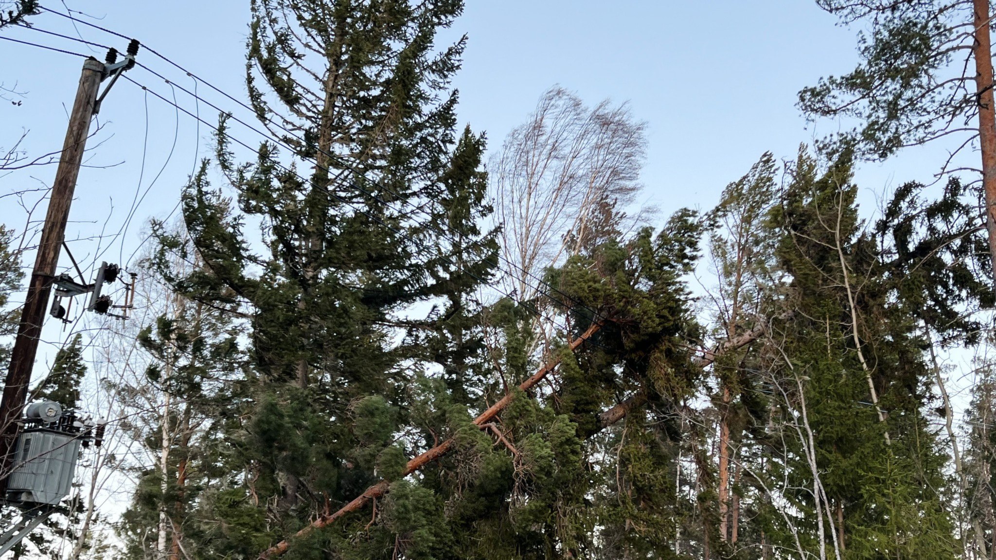 ⚡️ الیویو: هنوز هم خانوارهایی هستند که برق‌شان قطع می‌شود