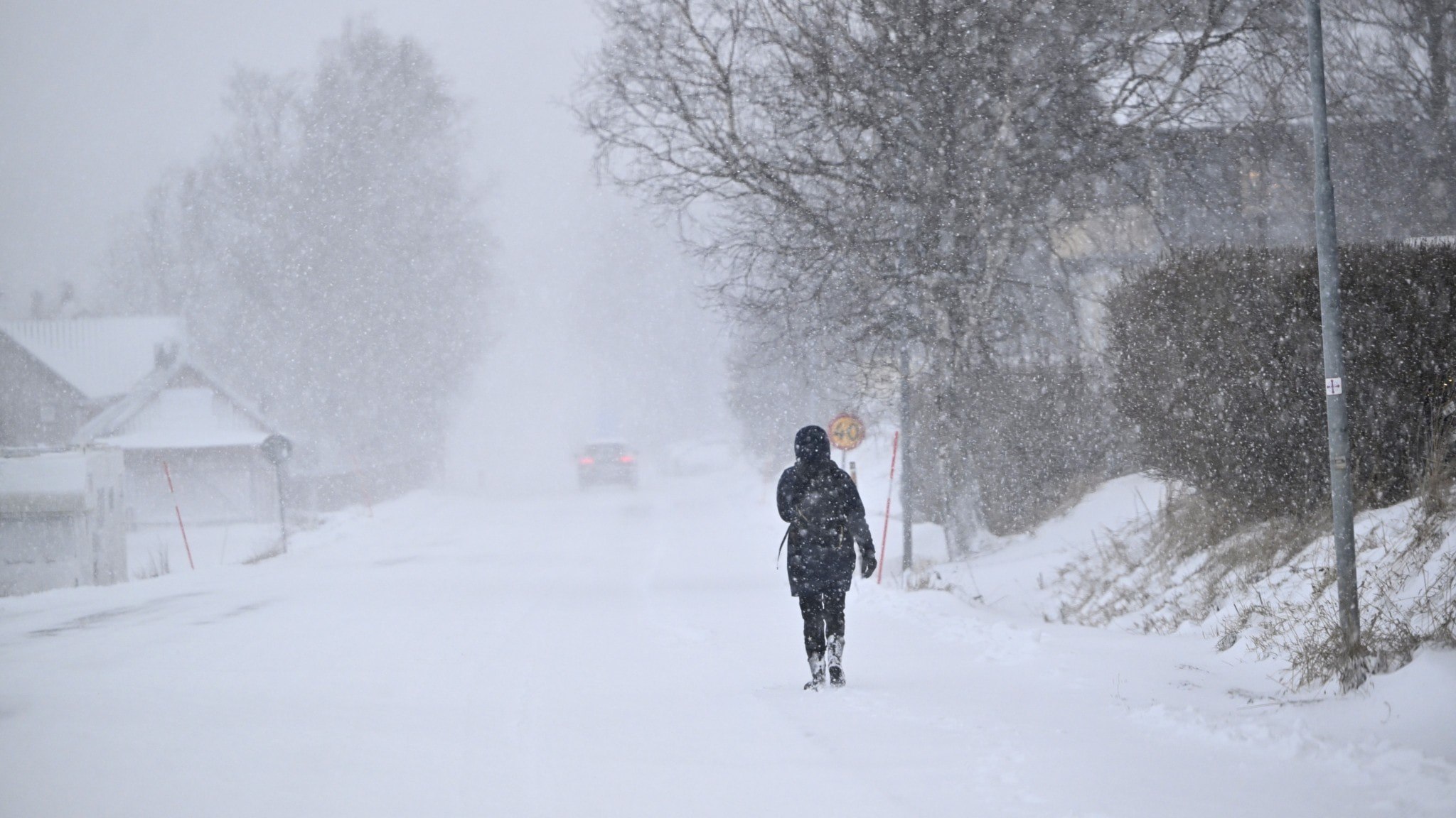 ⚡️ برف زیادی در راه است؛ این هوای اولین روز سال نو است