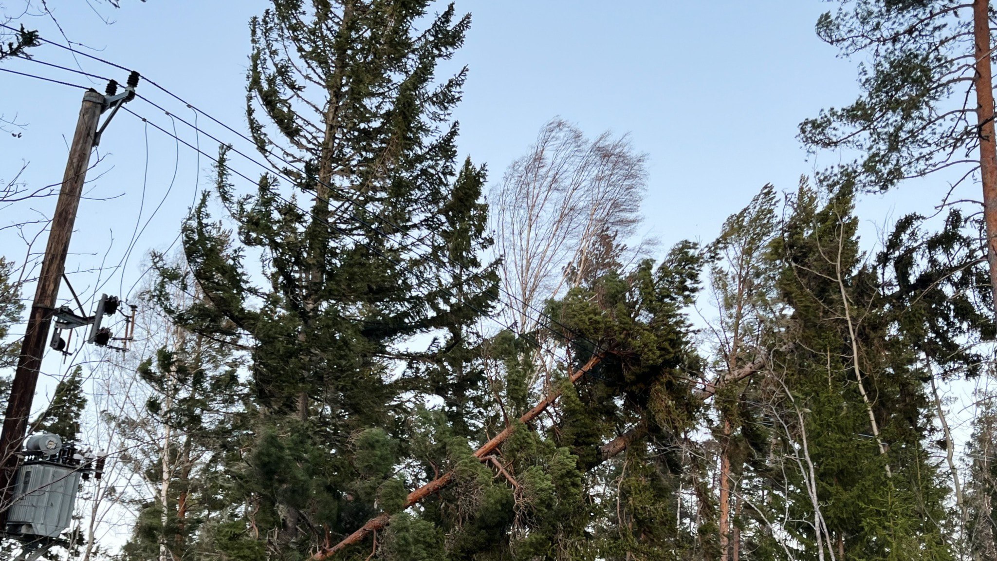 ⚡️ حدود دو هزار نفر بدون برق هستند؛ بارش برف روند تعمیرات را دشوار کرده است