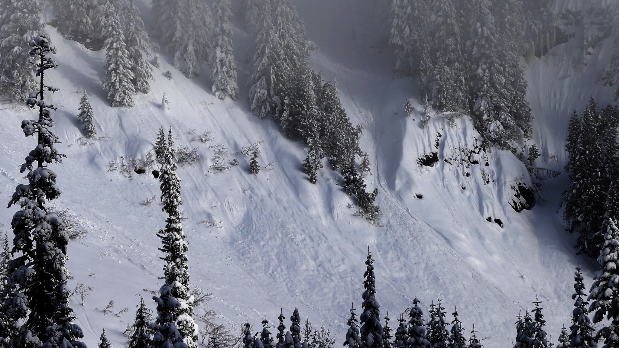 ⚡️ برف و باد خطر بهمن را در کوه‌های لاپلند افزایش می‌دهد