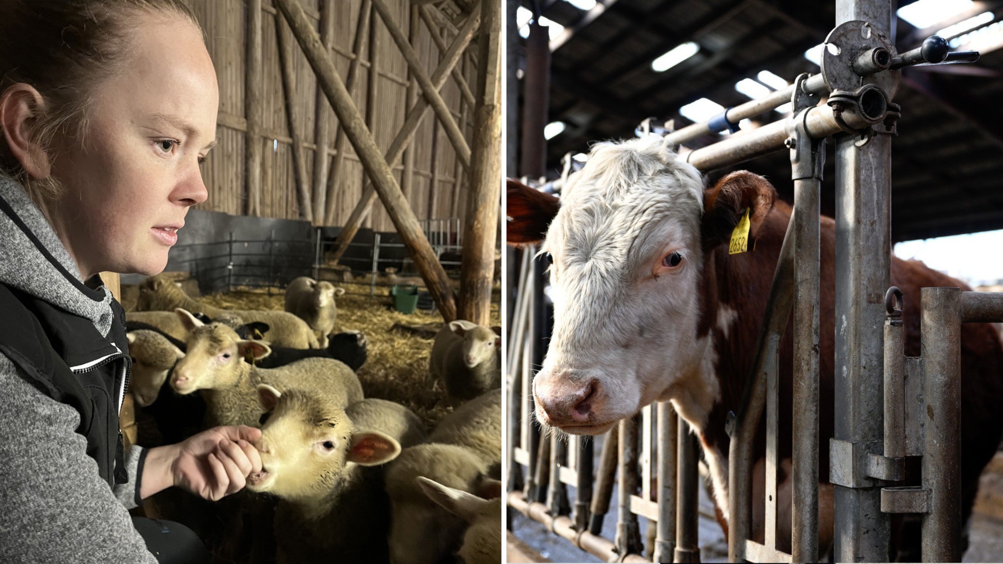 ⚡️ سرمایه‌گذاری اتحادیه اروپا؛ بسته میلیون یورویی برای جذب کشاورزان جوان