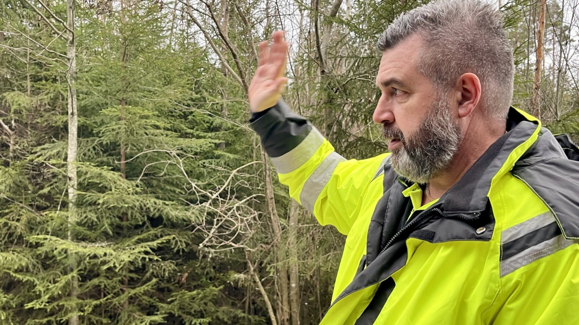 ⚡️ سوئد در کمترین زمان ممکن از تب خوکی آفریقایی رهایی یافت