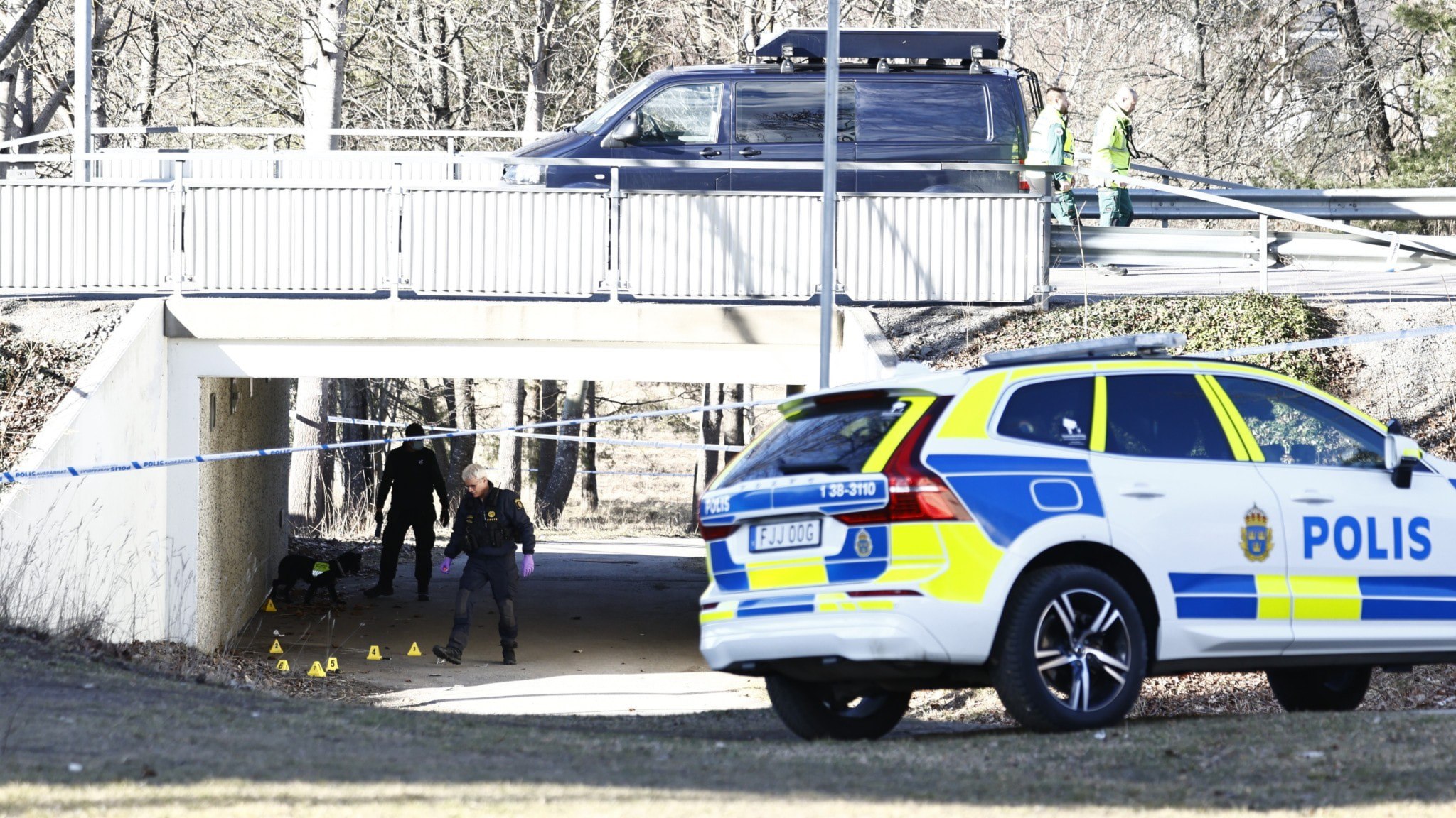 ⚡️ اولین ماه بدون تیراندازی منجر به مرگ در هشت سال گذشته