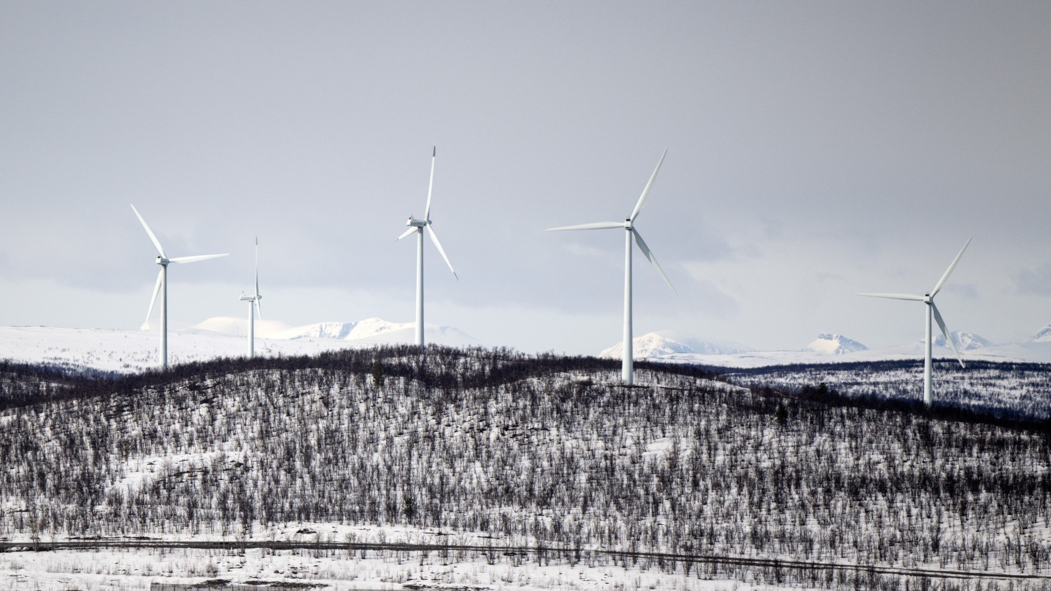 ⚡️ قیمت برق در شمال سوئد به بالاترین سطح در دو سال اخیر رسید، با وجود مازاد بالای تولید