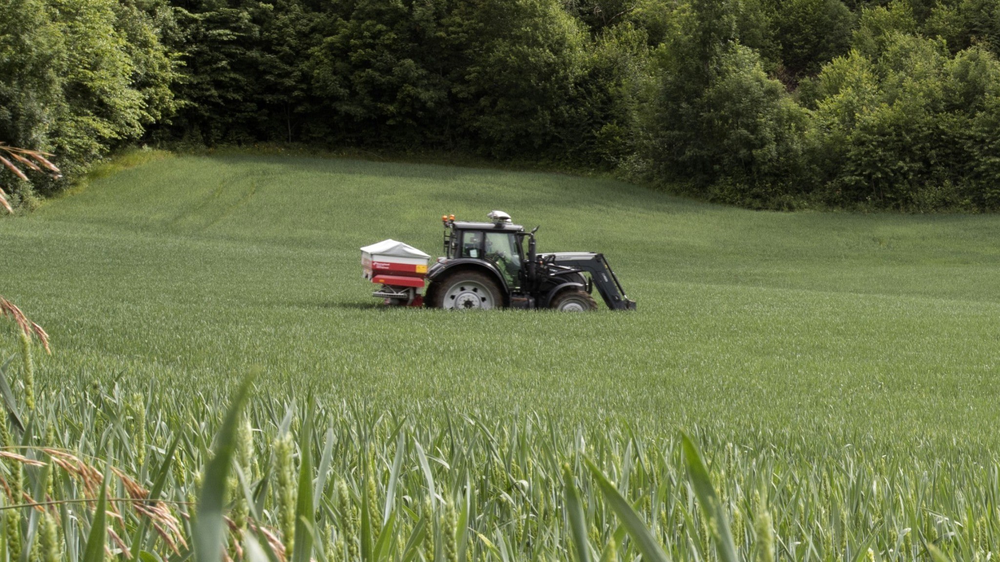 ⚡️ جنگ می‌تواند به کشاورزی سوئد و قیمت مواد غذایی آسیب برساند